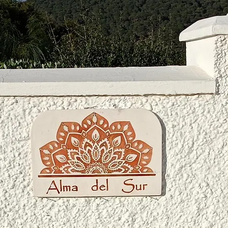 Alma Canos De Meca *