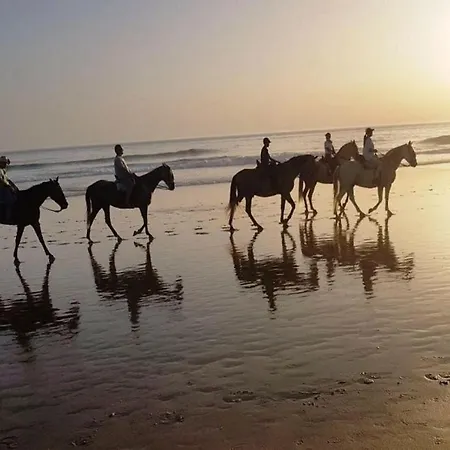 Alma Caños De Meca * Los Caños de Meca